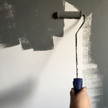 Peintures et revêtements
