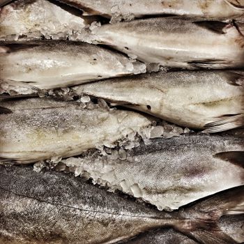 Poisson frais